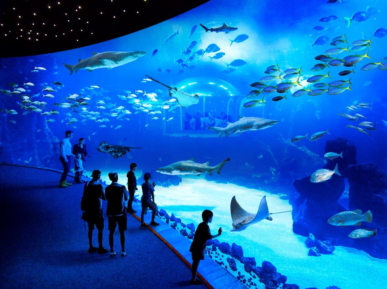 Acuario Poema del Mar